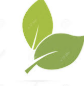 Wordpress-wp6